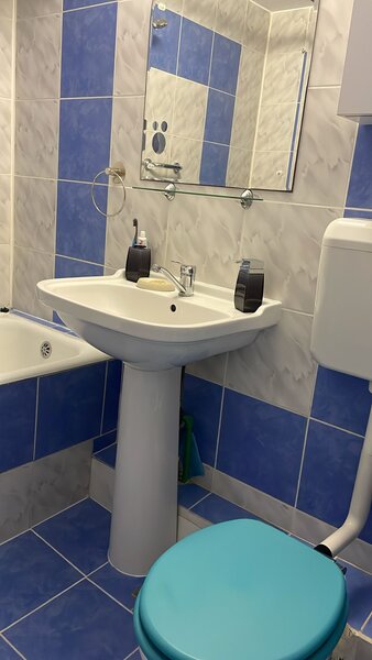 Colentina, Grigore Ionescu,